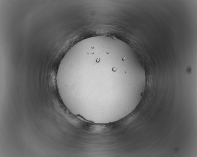 X0000116320575200912221401