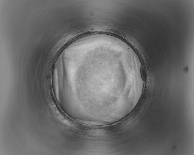 X0000116320577200912221401