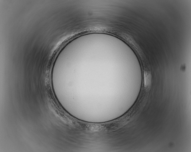 X0000116320579200912221401