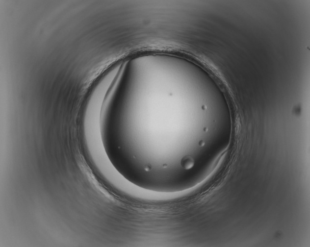 X0000116320581200912221401