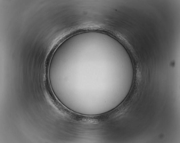 X0000116320582200912221401