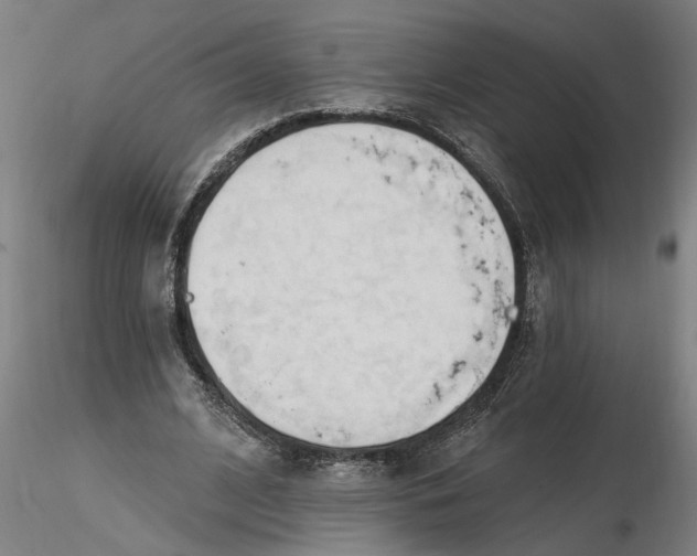 X0000116320584200912221401