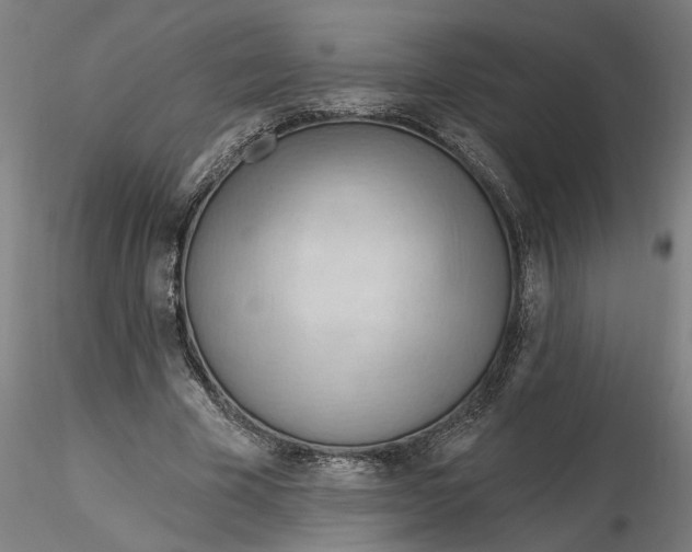 X0000116320585200912221401