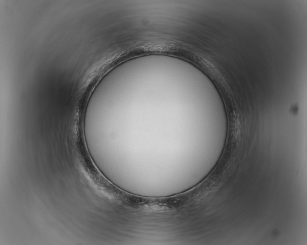 X0000116320586200912221401