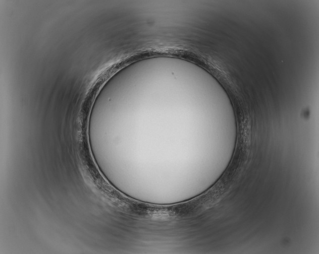 X0000116320587200912221401