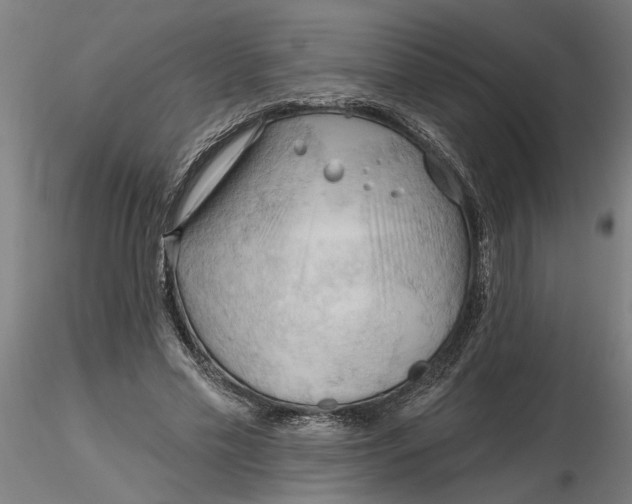 X0000116320589200912221400