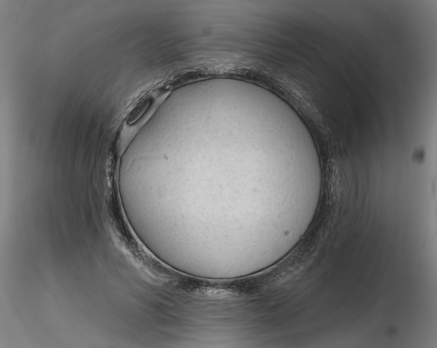 X0000116320590200912221400