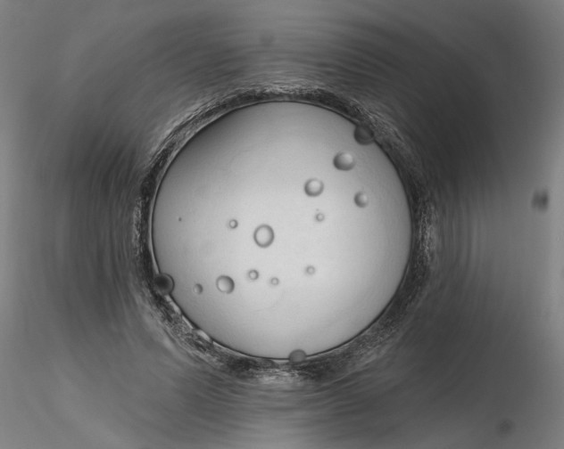 X0000116320591200912221400