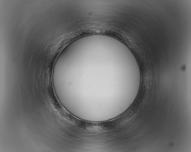 X0000116320594200912221400