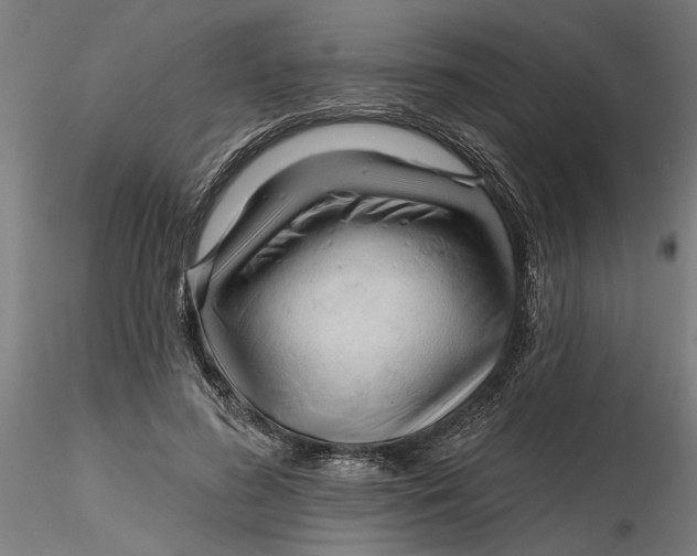 X0000116320596200912221400