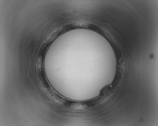 X0000116320597200912221400