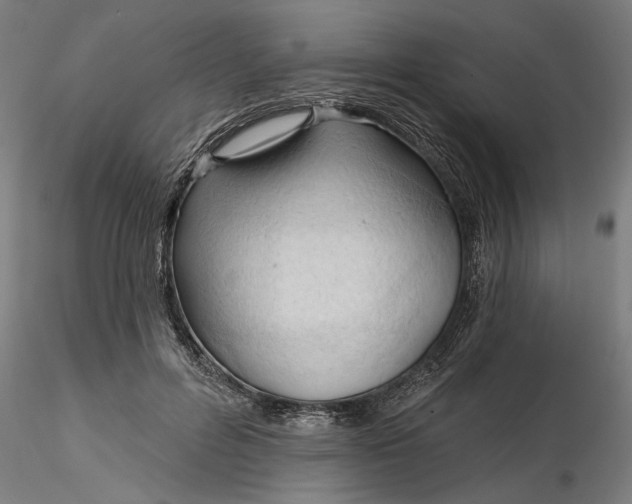 X0000116320600200912221400