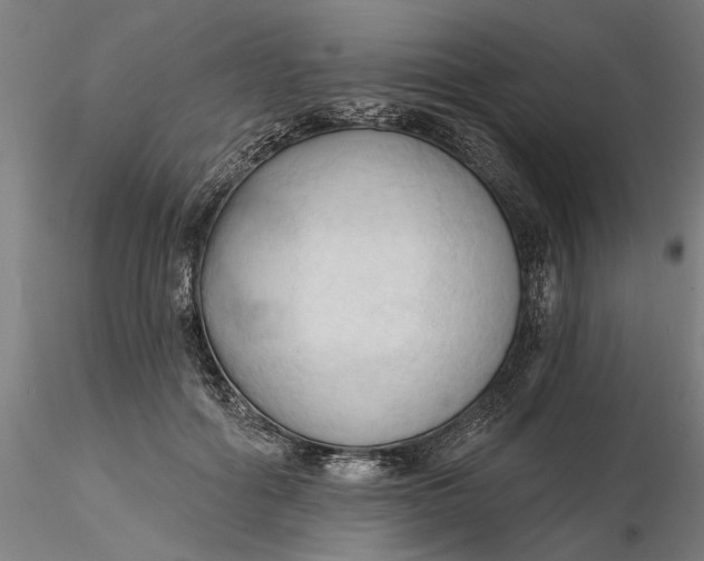 X0000116320602200912221400