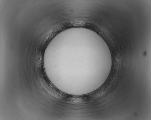 X0000116320604200912221400