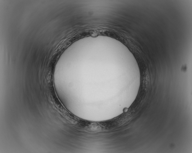 X0000116320608200912221400