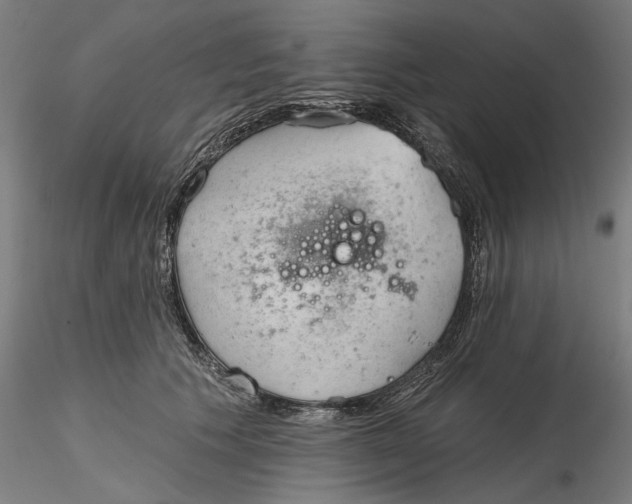 X0000116320609200912221400