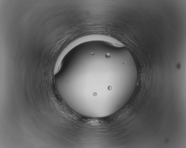 X0000116320611200912221400