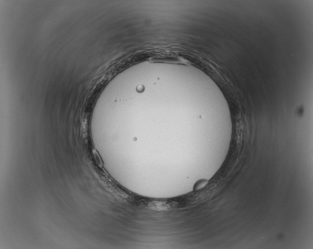 X0000116320613200912221400