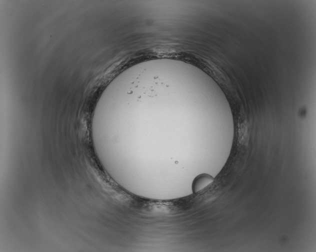 X0000116320618200912221400