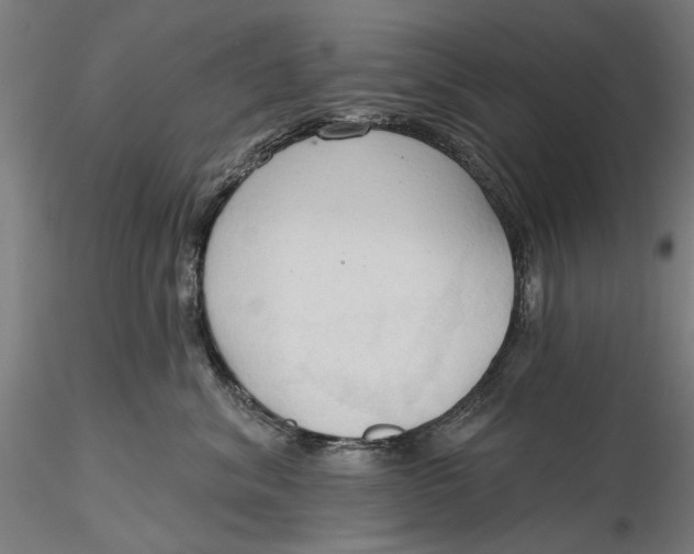 X0000116320620200912221400