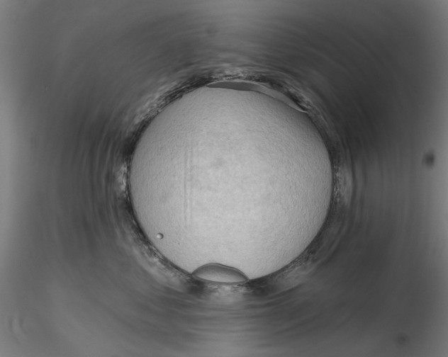 X0000116320621200912221400