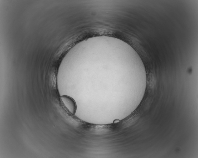 X0000116320622200912221400