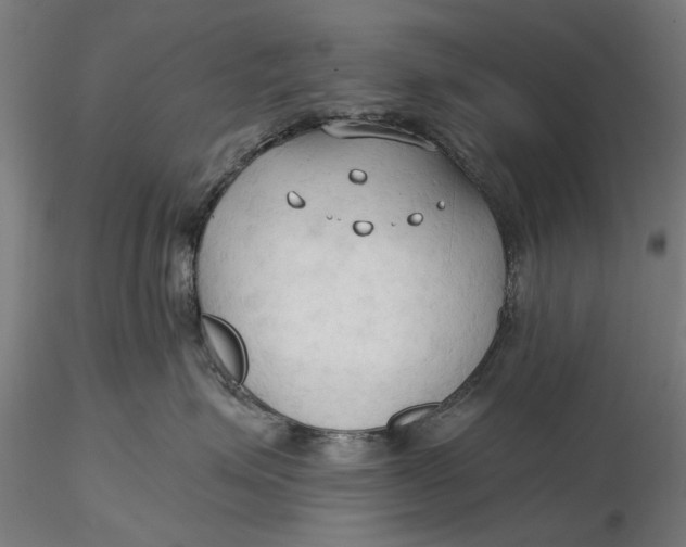 X0000116320623200912221400