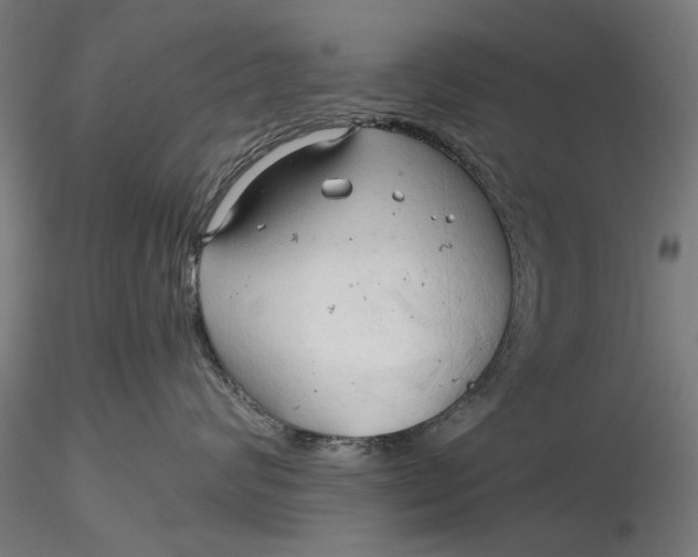 X0000116320624200912221400