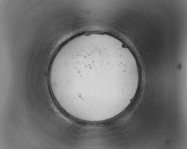 X0000116320625200912221359