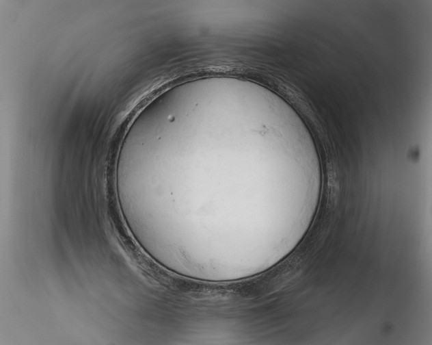 X0000116320626200912221359