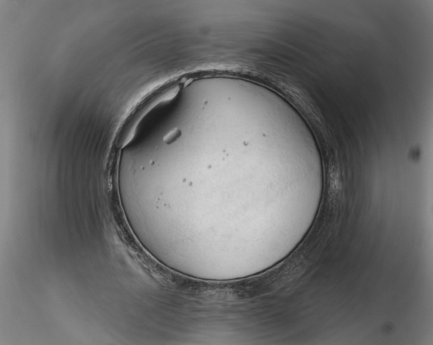 X0000116320628200912221359