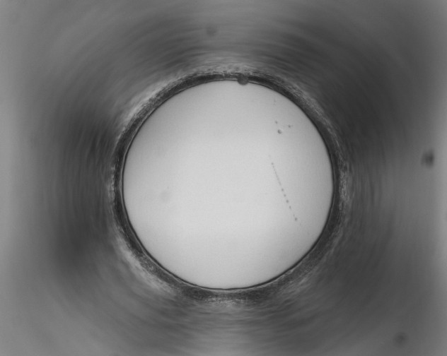 X0000116320629200912221359