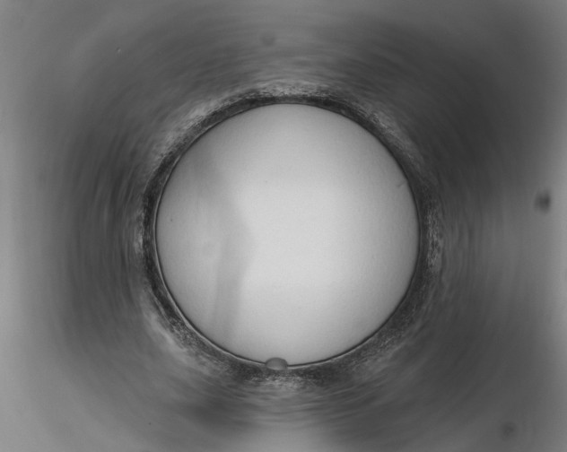 X0000116320631200912221359