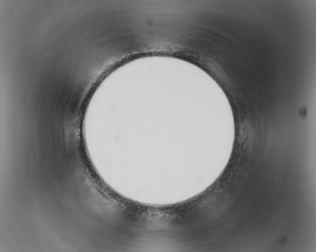 X0000116320632200912221359