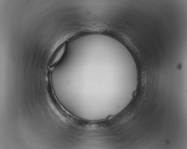 X0000116320634200912221359