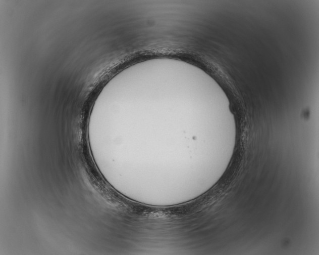 X0000116320635200912221359