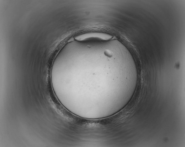 X0000116320637200912221400