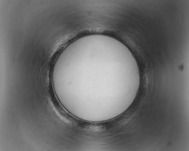 X0000116320638200912221400