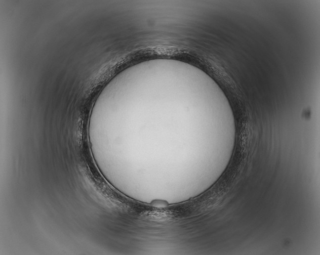 X0000116320639200912221400