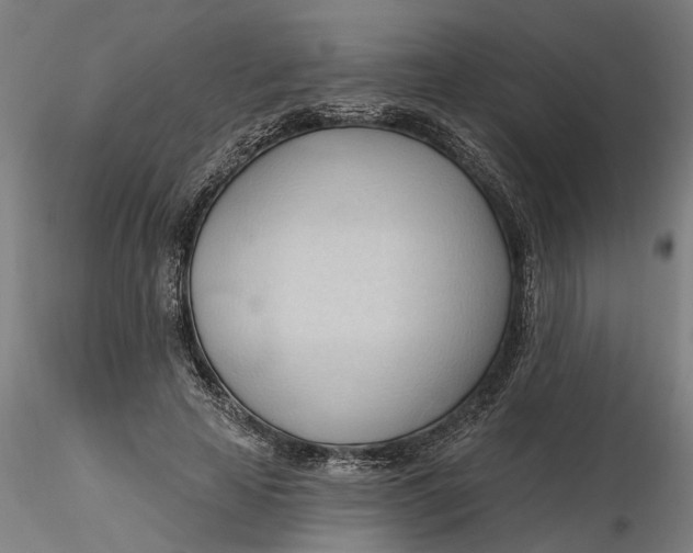 X0000116320641200912221400