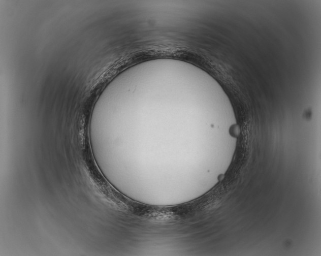 X0000116320642200912221400