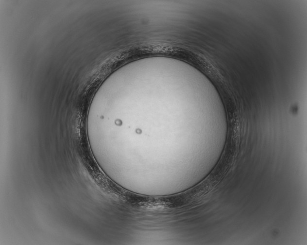 X0000116320643200912221400