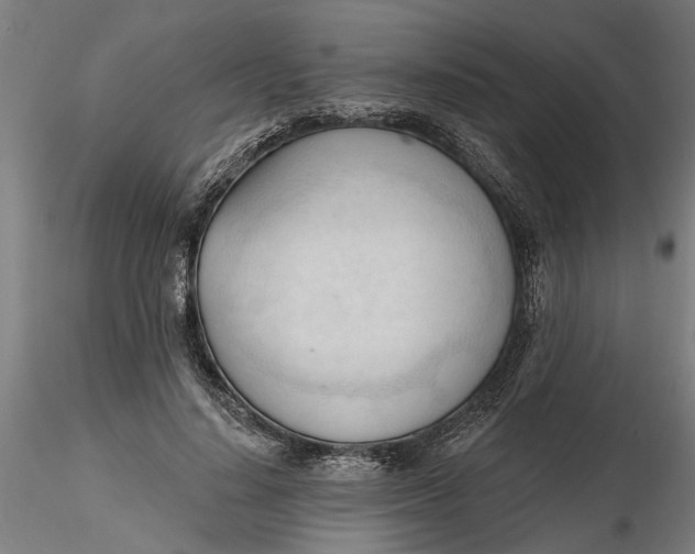 X0000116320644200912221400