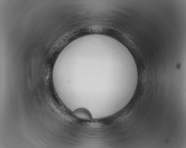 X0000116320645200912221400