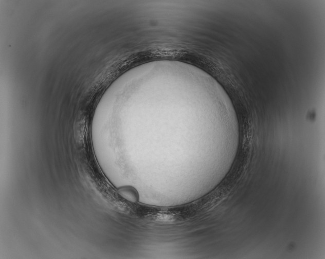 X0000116320647200912221400