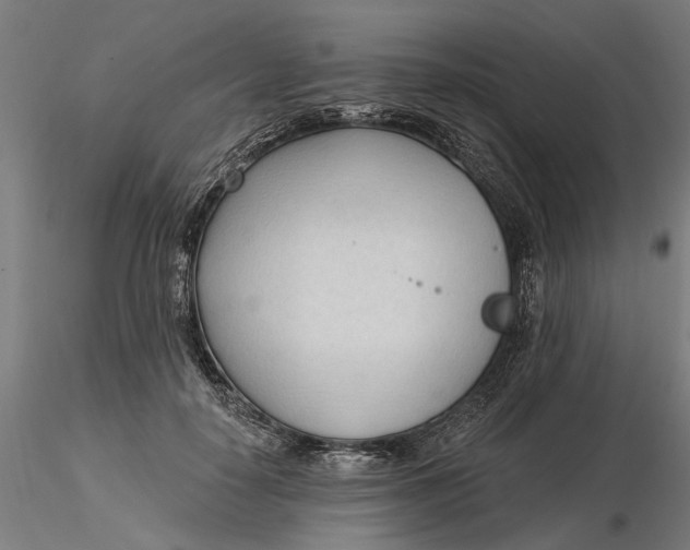 X0000116320650200912221400