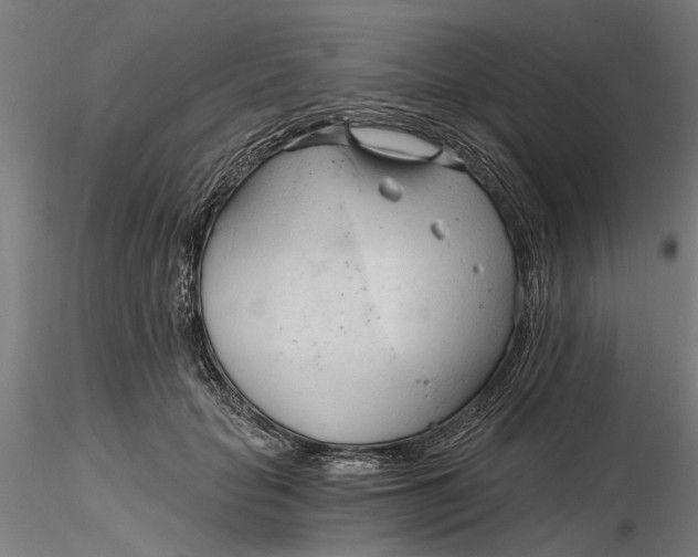 X0000116320653200912221400