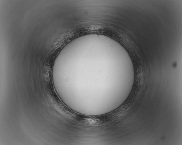 X0000116320654200912221400