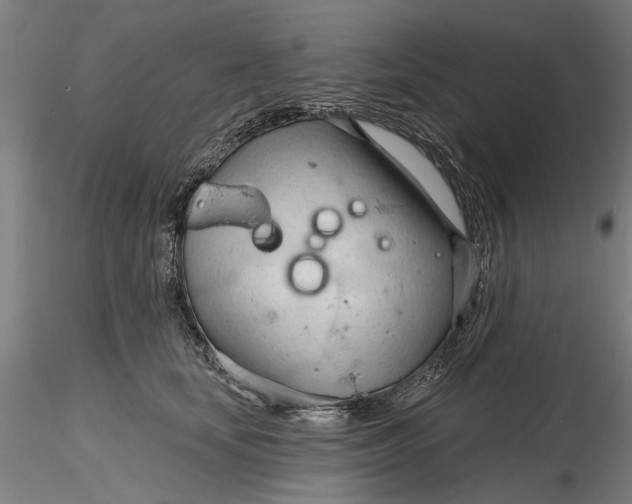 X0000116320659200912221400