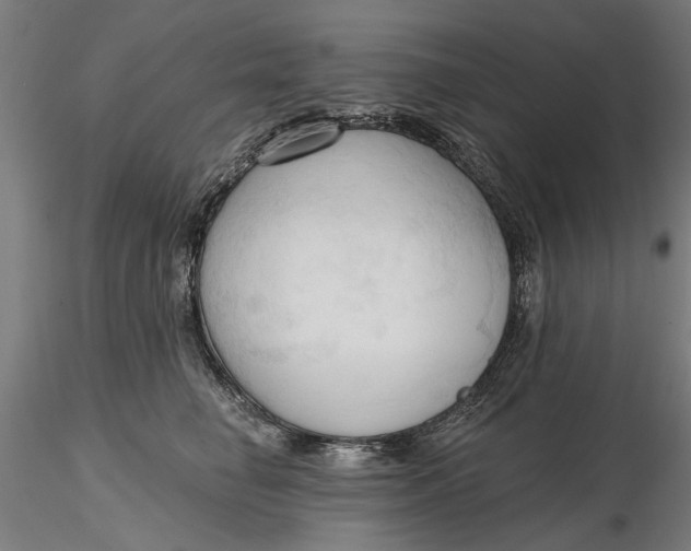 X0000116320662200912221400